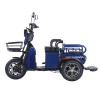 Трицикл акумуляторний Forte CARGO-WN1072 Синій