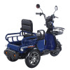 Трицикл акумуляторний Forte CARGO-WN1072 Синій