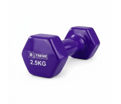 Гантели для фитнеса 2.5 кг фиолетовая XTDBH-2.5P 1шт. X-TREME