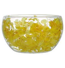 Набор салатников VT-3105-700 с двойным дном Солнечный луч Vittora (2шт) 700мл