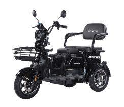 Трицикл аккумуляторный Forte Family-WN1072 Черный