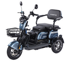 Трицикл аккумуляторный Forte Family-WN1072 Серый