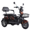 Трицикл аккумуляторный Forte Family-WN1072G Коричневый