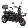 Трицикл аккумуляторный Forte Family-WN1072G Коричневый