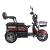 Трицикл аккумуляторный Forte Family-WN1072G Коричневый