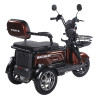 Трицикл аккумуляторный Forte Family-WN1072G Коричневый