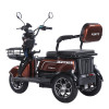 Трицикл аккумуляторный Forte Family-WN1072G Коричневый