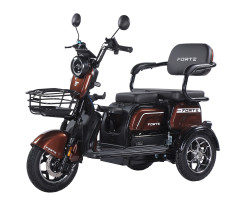 Трицикл акумуляторний Forte  Family-WN1072G Коричневий