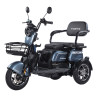 Трицикл аккумуляторный Forte Family-WN1072G Серый