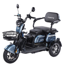 Трицикл аккумуляторный Forte Family-WN1072G Серый