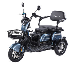 Трицикл акумуляторний Forte  Family-WN1072G Сірий