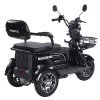 Трицикл аккумуляторный Forte Family-WN1072G Черный