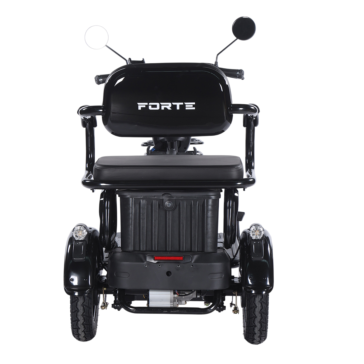 Трицикл аккумуляторный Forte Family-WN1072G Черный