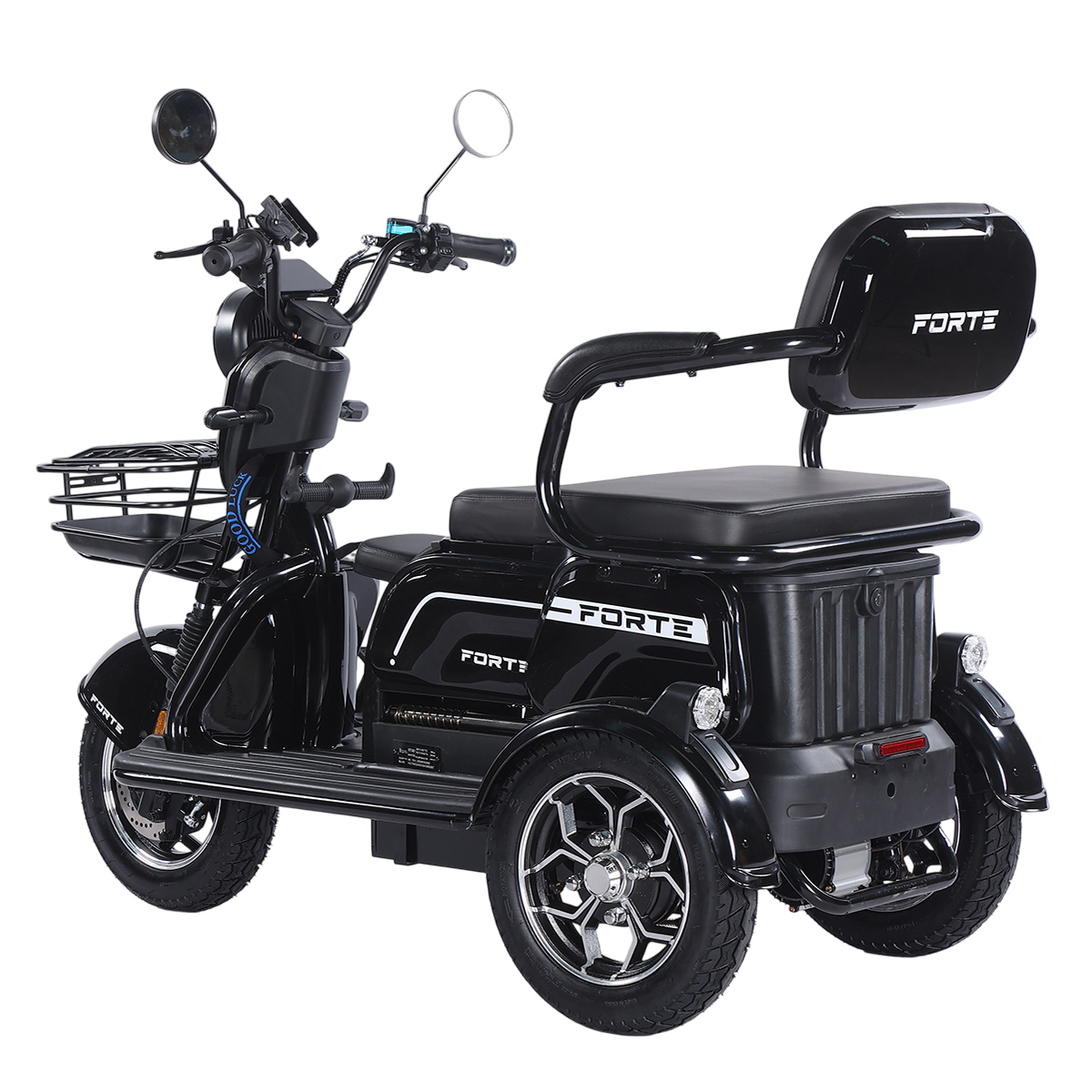 Трицикл аккумуляторный Forte Family-WN1072G Черный