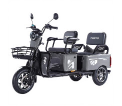 Трицикл аккумуляторный Forte CARGO-WN1072G Серый
