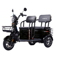 Трицикл аккумуляторный Forte TRANSIT-WN1072G Черный