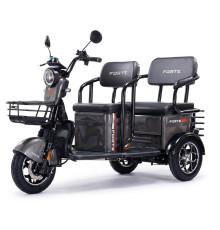 Трицикл аккумуляторный Forte TRANSIT-WN1072G Серый