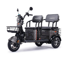 Трицикл акумуляторний Forte  TRANSIT-WN1072G Сірий