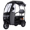 Трицикл аккумуляторный Forte TRINE-WN1072G Черный
