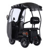 Трицикл аккумуляторный Forte TRINE-WN1072G Черный