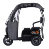 Трицикл аккумуляторный Forte TRINE-WN1072G Черный