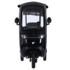 Трицикл аккумуляторный Forte TRINE-WN1072G Черный