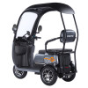 Трицикл акумуляторний Forte TRINE-WN1072G Сірий
