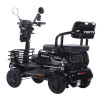 Трицикл аккумуляторный Forte SONIC-WN800S Черный