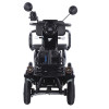 Трицикл аккумуляторный Forte SONIC-WN800S Черный