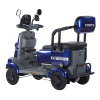 Трицикл аккумуляторный Forte SONIC-WN800B Синий