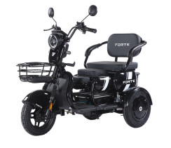 Трицикл акумуляторний Forte  Family-WN1060 Чорний