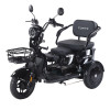 Трицикл акумуляторний Forte Family-WN1060 Чорний