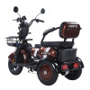 Трицикл аккумуляторный Forte Family-WN1060 Коричневый