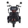 Трицикл аккумуляторный Forte Family-WN1060 Коричневый
