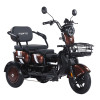 Трицикл аккумуляторный Forte Family-WN1060 Коричневый