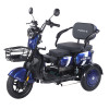 Трицикл аккумуляторный Forte Family-WN1060 Синий