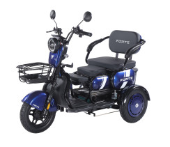 Трицикл аккумуляторный Forte Family-WN1060 Синий