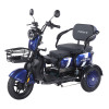 Трицикл аккумуляторный Forte Family-WN1060 Синий