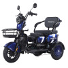Трицикл аккумуляторный Forte Family-WN1060 Синий