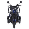 Трицикл аккумуляторный Forte Family-WN1060 Синий