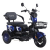 Трицикл аккумуляторный Forte Family-WN1060 Синий