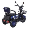Трицикл аккумуляторный Forte Family-WN1060 Синий