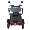 Трицикл аккумуляторный Forte Family-WN1060 Серый