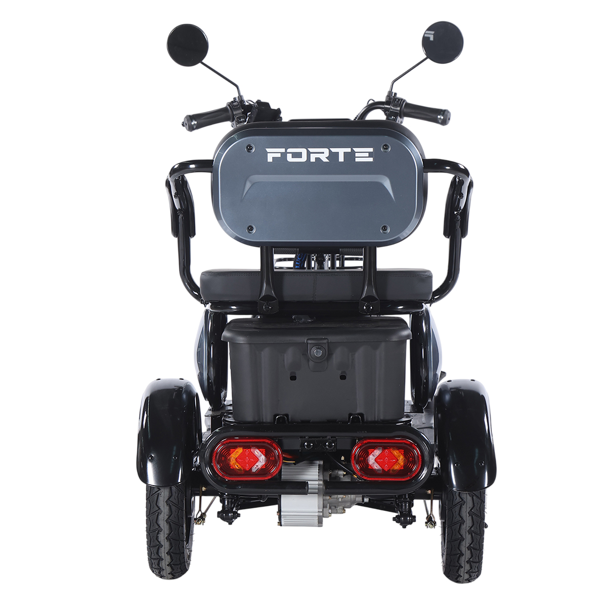 Трицикл аккумуляторный Forte Family-WN1060 Серый