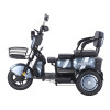 Трицикл аккумуляторный Forte Family-WN1060 Серый