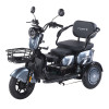 Трицикл аккумуляторный Forte Family-WN1060 Серый