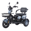 Трицикл аккумуляторный Forte Family-WN1060 Серый
