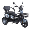 Трицикл аккумуляторный Forte Family-WN1060 Серый