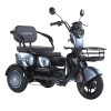 Трицикл аккумуляторный Forte Family-WN1060 Серый