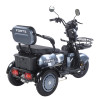 Трицикл аккумуляторный Forte Family-WN1060 Серый